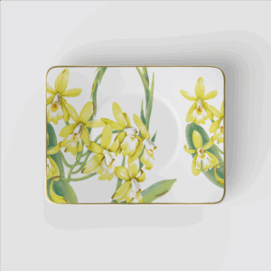 Amazonia Tea cup saucer