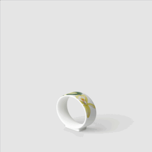 Amazonia Napkin ring